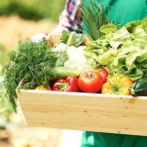 panier de légumes de producteurs