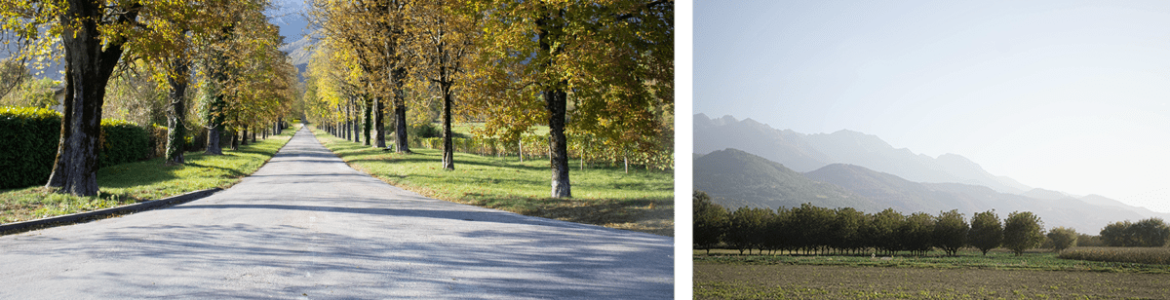 paysages Le Touvet montagnes arbres vignes